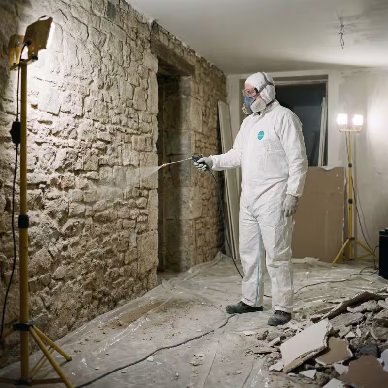 Traitement professionnel de la mérule par injection de fongicide dans les boiseries Traitement professionnel de la mérule par injection de fongicide dans les boiseries